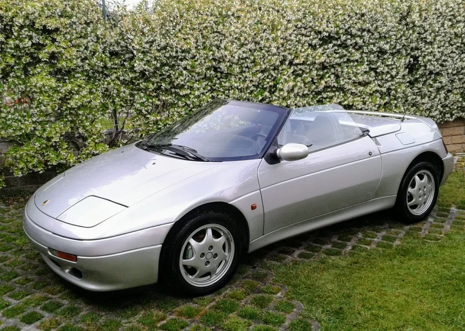 Elan