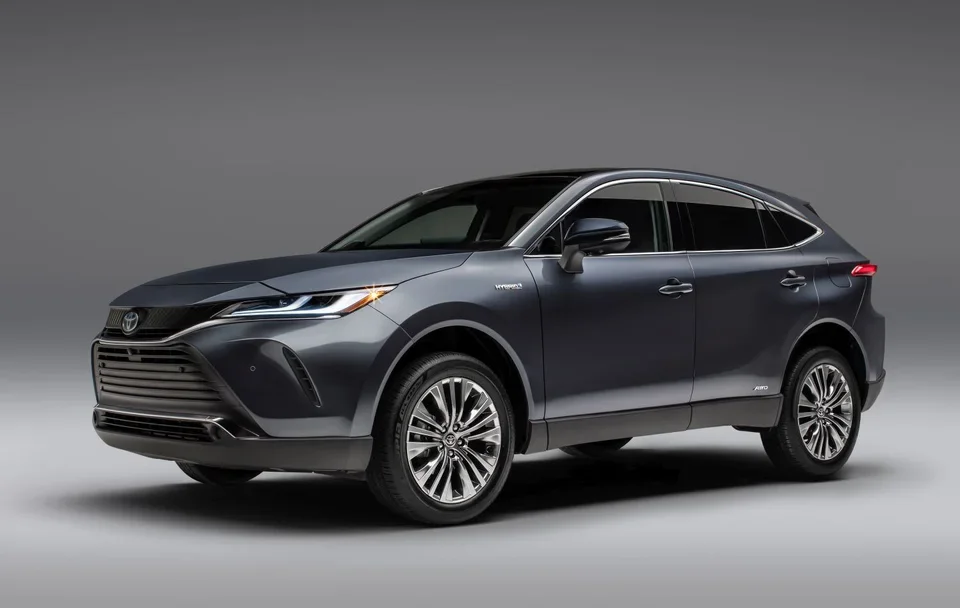 Venza